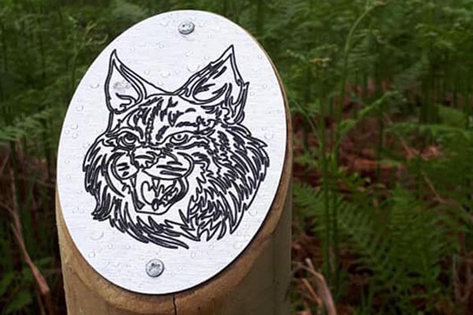 Glenmoriston Beastie Trail